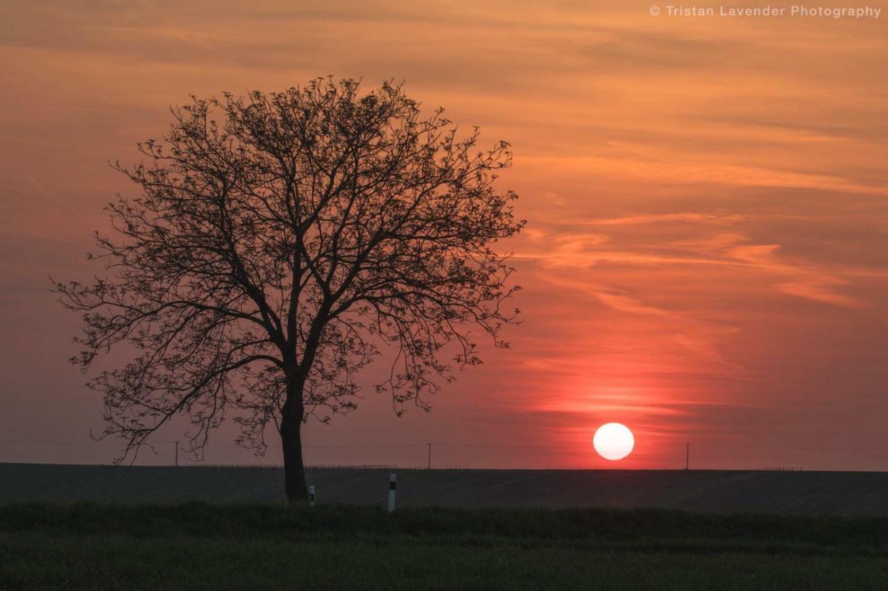 Moravske Toskansko Stavesice Экстерьер фото