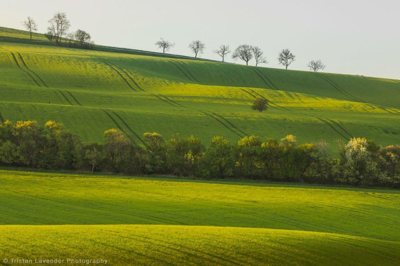 Moravske Toskansko Stavesice Экстерьер фото
