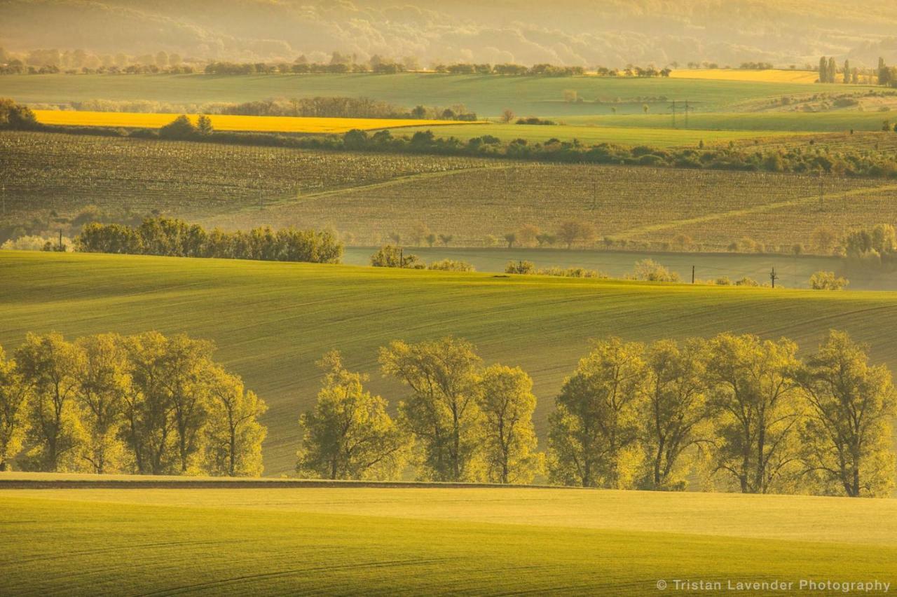 Moravske Toskansko Stavesice Экстерьер фото